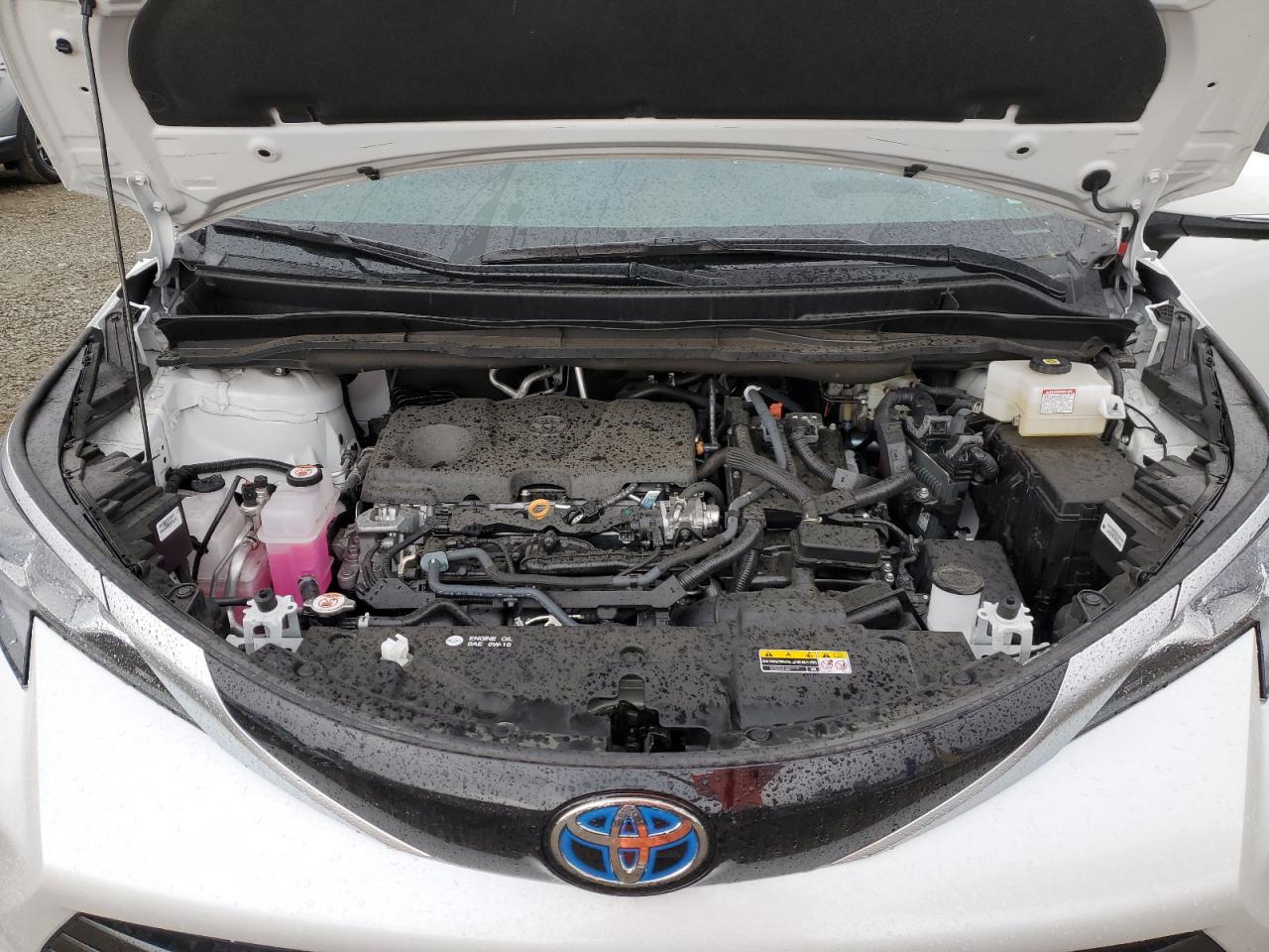 2024 TOYOTA SIENNA LIMITED VIN:5TDERKEC5RS220903