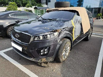 2017 Kia Sorento KNAPS81ABHA358737 VIN:KNAPS81ABHA358737