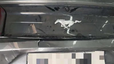 2018 Ford Mustang VIN: