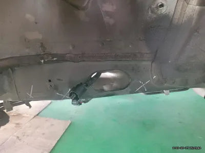 2021 Kia Carnival KNANC81BBMS077799 VIN:KNANC81BBMS077799