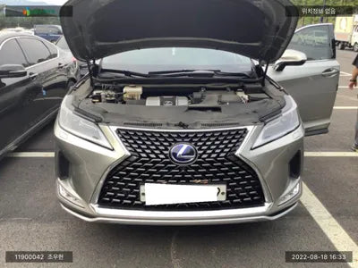 2020 Lexus RX 450 JTJBGMCA1L2061766 VIN:JTJBGMCA1L2061766