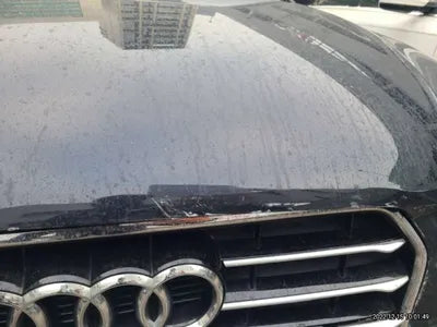 2016 Audi A4 WAUZZZ8K9GA010809 VIN:WAUZZZ8K9GA010809