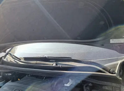 2019 Kia Carnival KNAME81ABKS532659 VIN:KNAME81ABKS532659