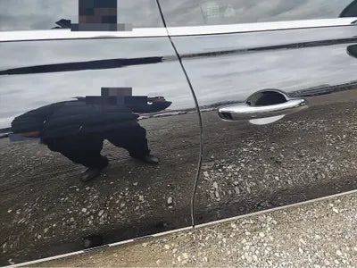 2023 Genesis G80 VIN: