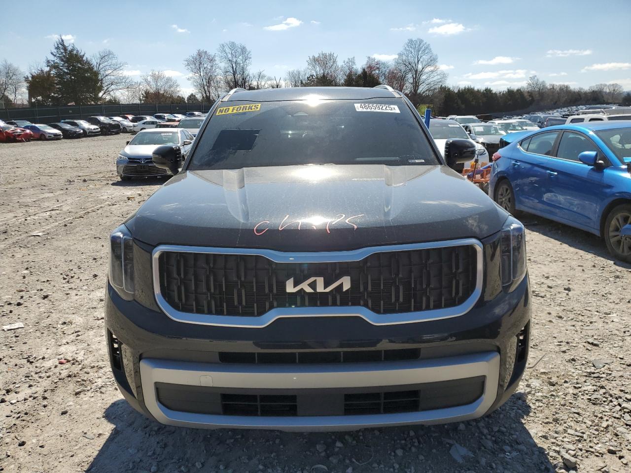 2023 KIA TELLURIDE EX VIN:5XYP3DGC3PG402399