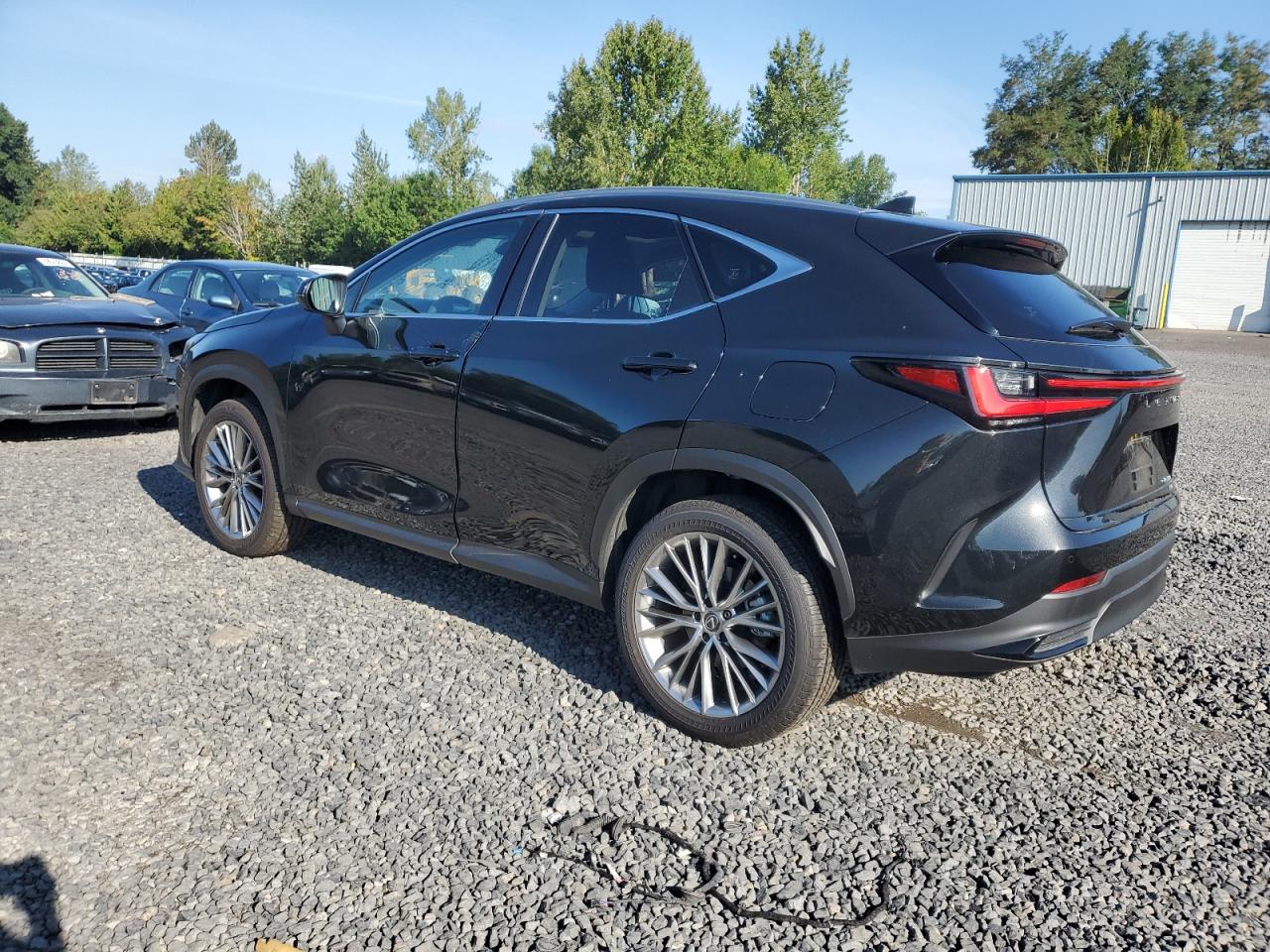 2024 LEXUS NX 350 LUXURY VIN:JTJHGCEZ7R5008942