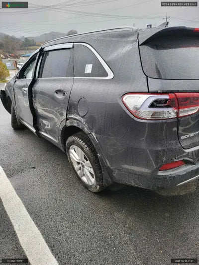 2016 Kia Sorento KNAPS81ABHA302496 VIN:KNAPS81ABHA302496