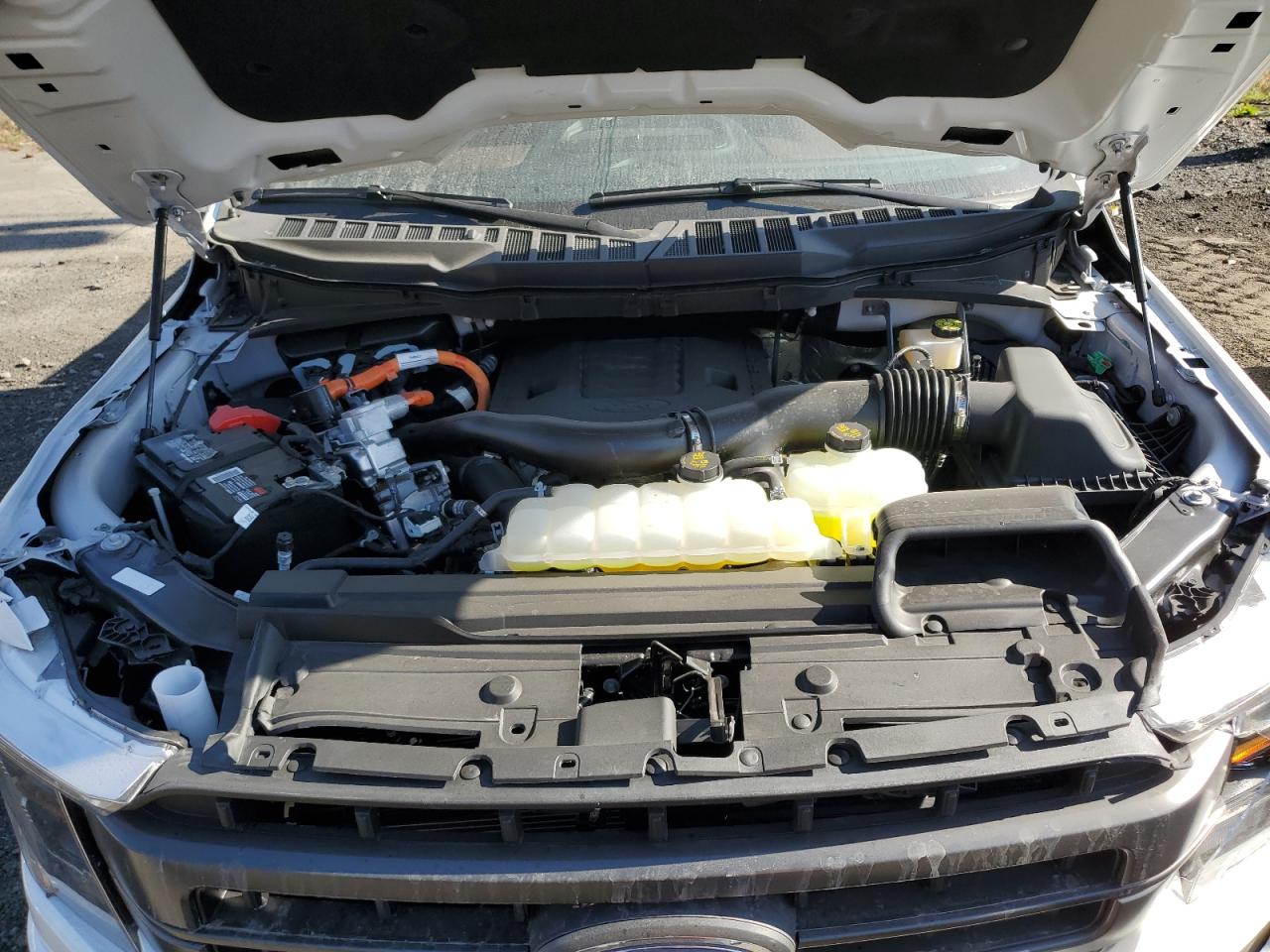 2023 FORD F150 SUPERCREW VIN:1FTFW1EDXPFD02199