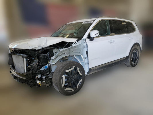 2024 KIA TELLURIDE EX VIN:5XYP3DGC8RG484830