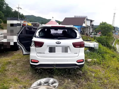 2019 Kia Sorento 657KMKNAPG81ABKA5 VIN:657KMKNAPG81ABKA5