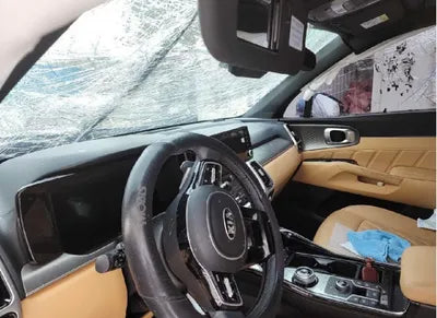 2021 Kia Sorento KNARK81BGMA022168 VIN:KNARK81BGMA022168