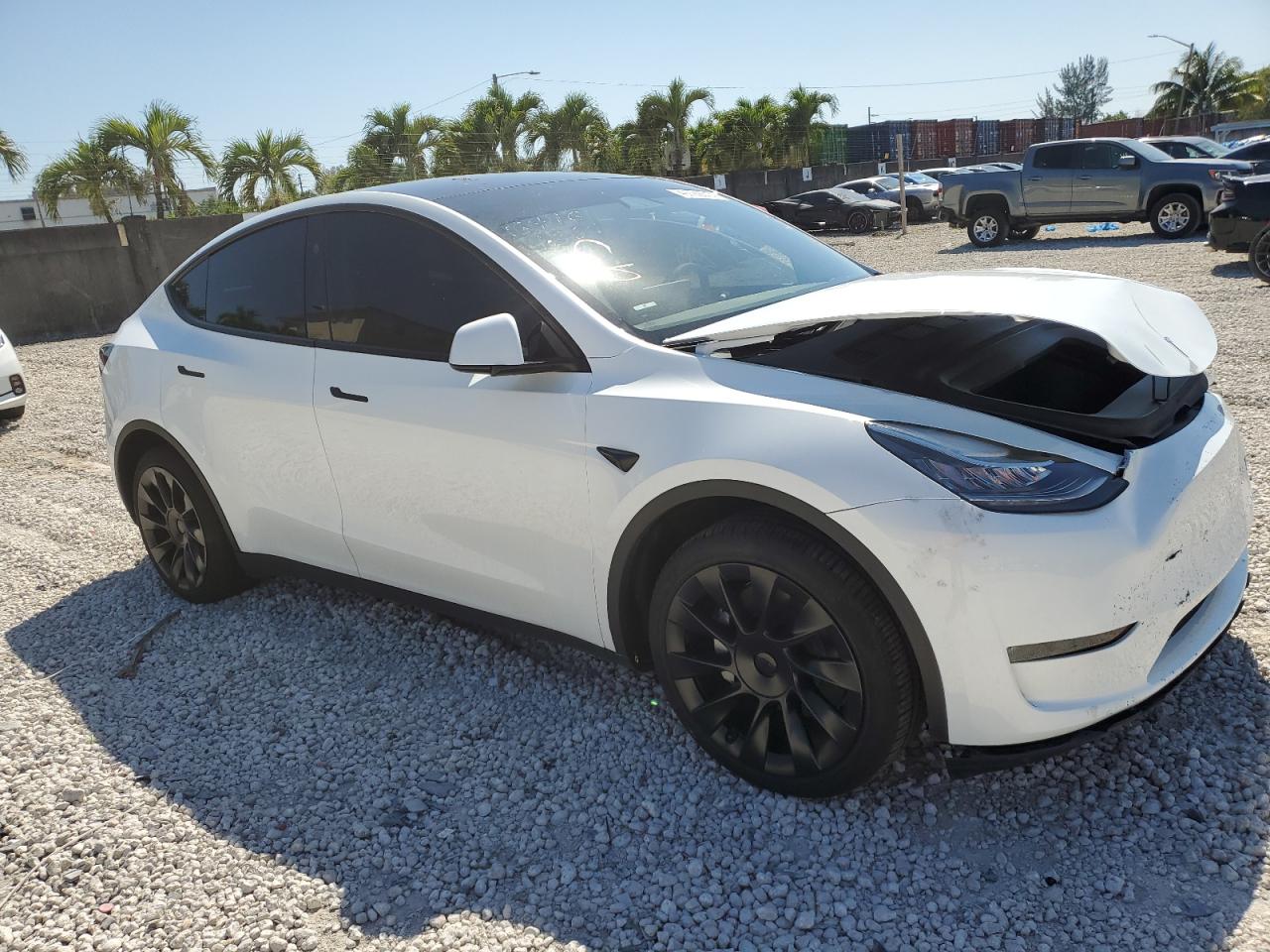 2023 TESLA MODEL Y  VIN:7SAYGDEE1PA135476