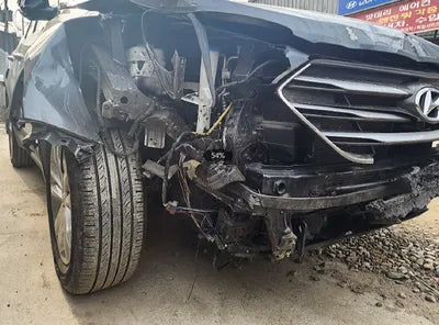 2018 Hyundai Santa FE KMHSW81ABJU861394 VIN:KMHSW81ABJU861394