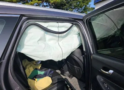 2020 Hyundai Santa FE KMHS281BBLU215094 VIN:KMHS281BBLU215094