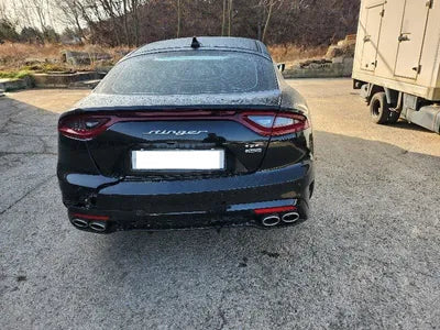 2020 Kia Stinger KNAE751CDLS072061 VIN:KNAE751CDLS072061