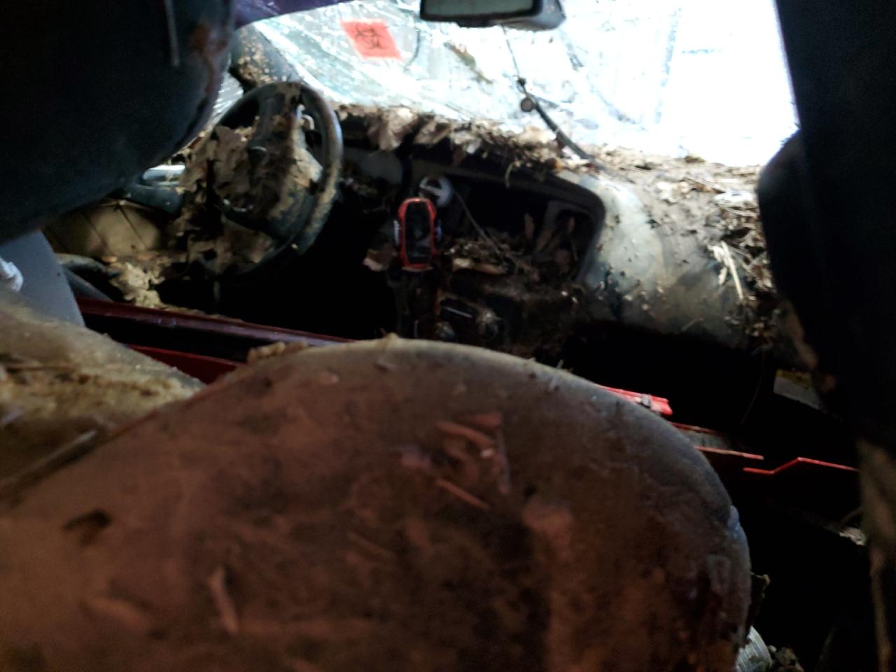 2023 DODGE CHARGER R/T VIN:2C3CDXCT0PH548378