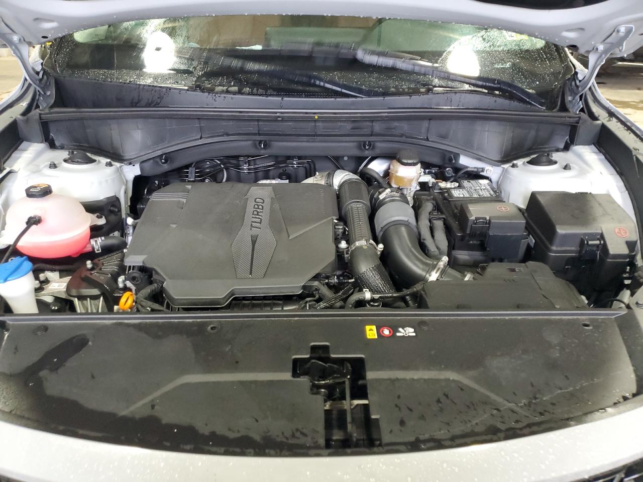 2023 KIA SORENTO SX VIN:5XYRKDLF9PG170807