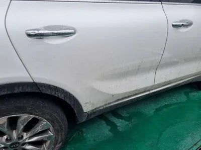 2019 Kia Sorento KNAPS81BDLA636099 VIN:KNAPS81BDLA636099