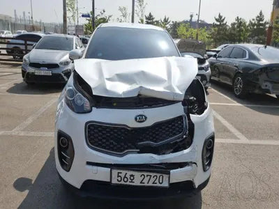2017 Kia Sportage KNAPN815GHK301738 VIN:KNAPN815GHK301738