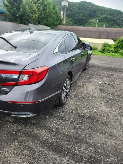 2019 Honda Accord 1HGCV3690KA511496 VIN:1HGCV3690KA511496