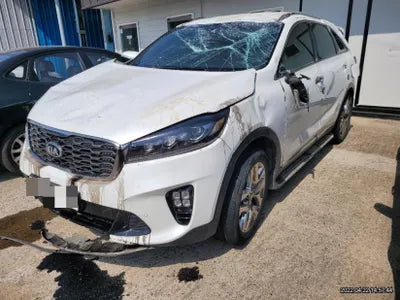2019 Kia Sorento KNAPH81BBLA564657 VIN:KNAPH81BBLA564657