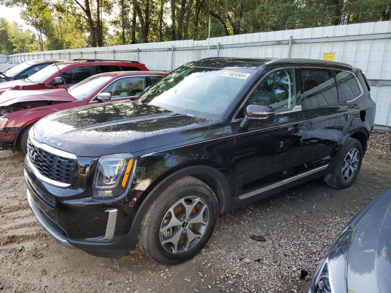 2022 KIA TELLURIDE EX VIN:5XYP3DHC7NG221916