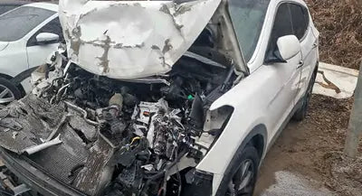 2016 Hyundai Santa FE KMHSW81UBGU666839 VIN:KMHSW81UBGU666839