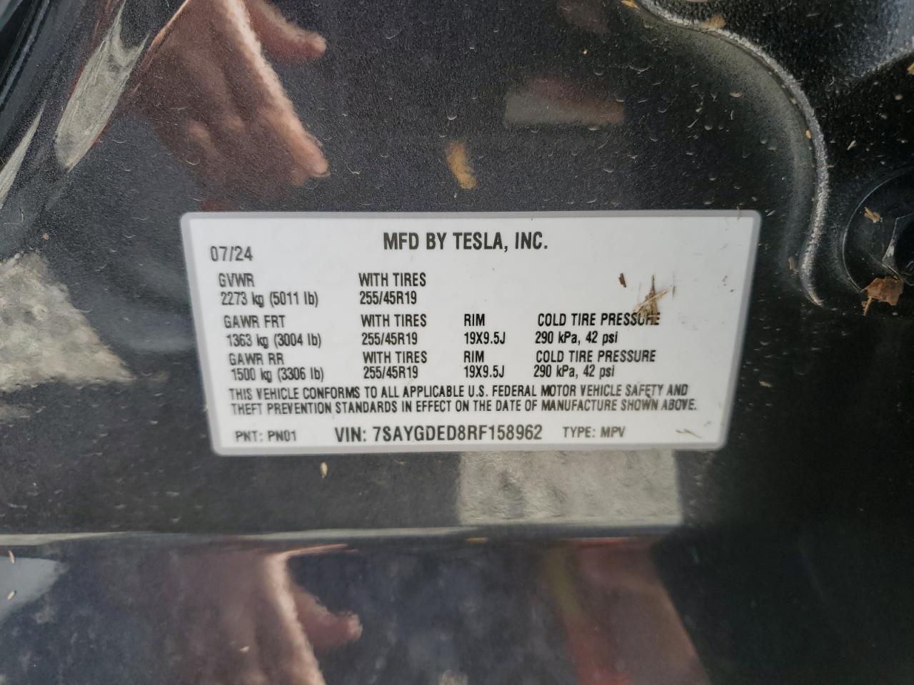 2024 TESLA MODEL Y  VIN:7SAYGDED8RF158962