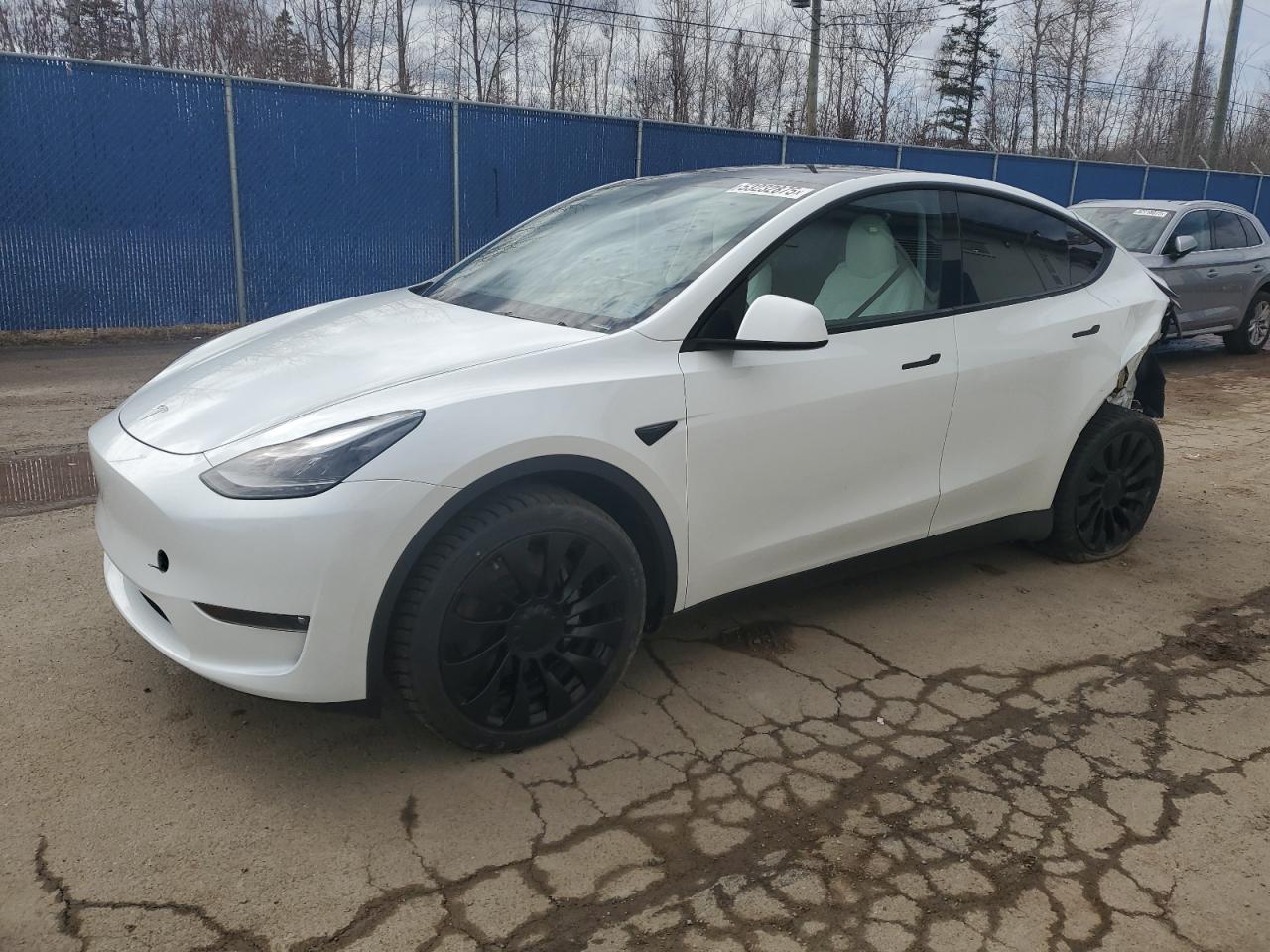 2023 TESLA MODEL Y  VIN:LRWYGDEEXPC228734