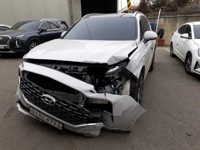 2021 Hyundai Santa FE KMHS581HGMU311904 VIN:KMHS581HGMU311904