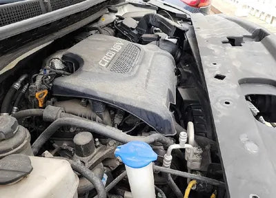 2018 Kia Carnival KNAMC81ABJS419807 VIN:KNAMC81ABJS419807