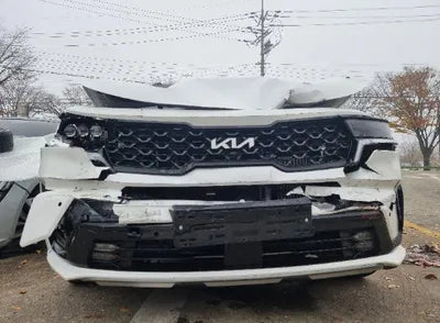 2023 Kia Sorento KNARJ81GBPA204006 VIN:KNARJ81GBPA204006