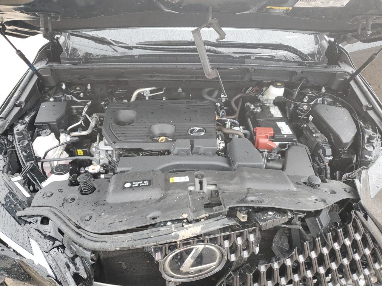 2024 LEXUS NX 250 PREMIUM VIN:2T2GDCAZ8RC014499