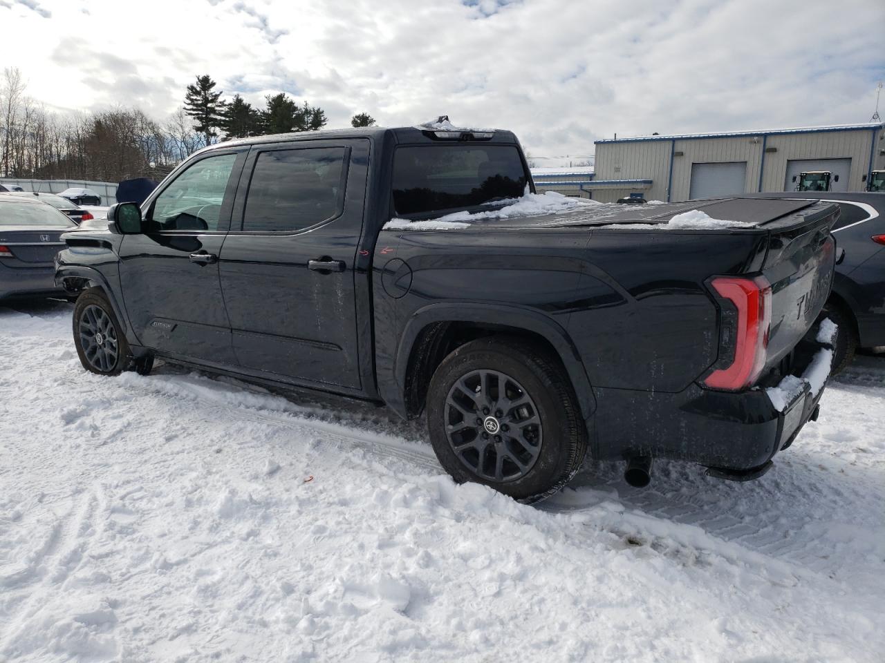 2024 TOYOTA TUNDRA CREWMAX PLATINUM VIN:5TFNC5DB9RX064791