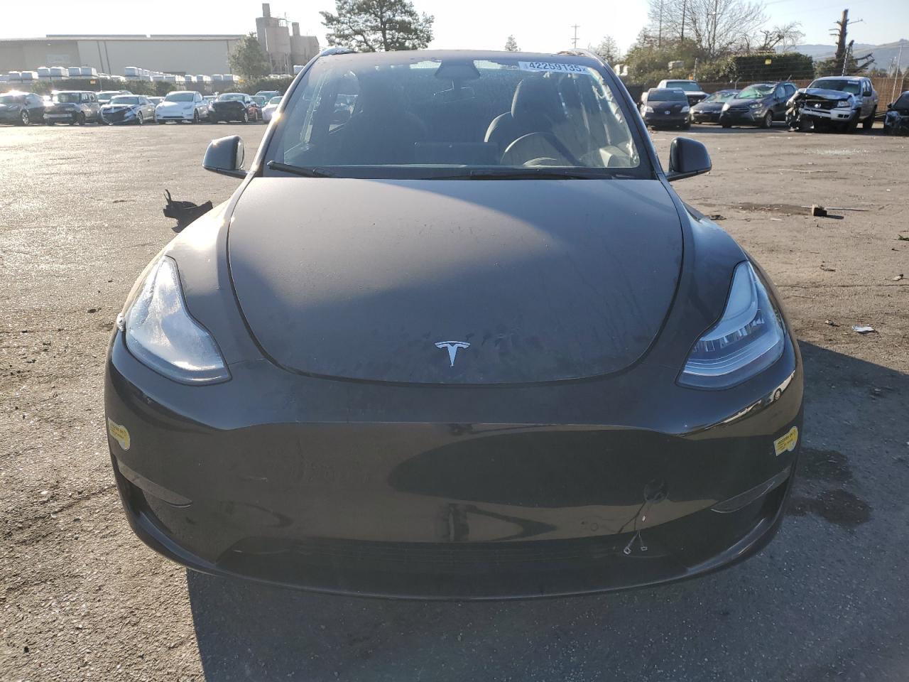 2022 TESLA MODEL Y  VIN:7SAYGDEE7NF403897