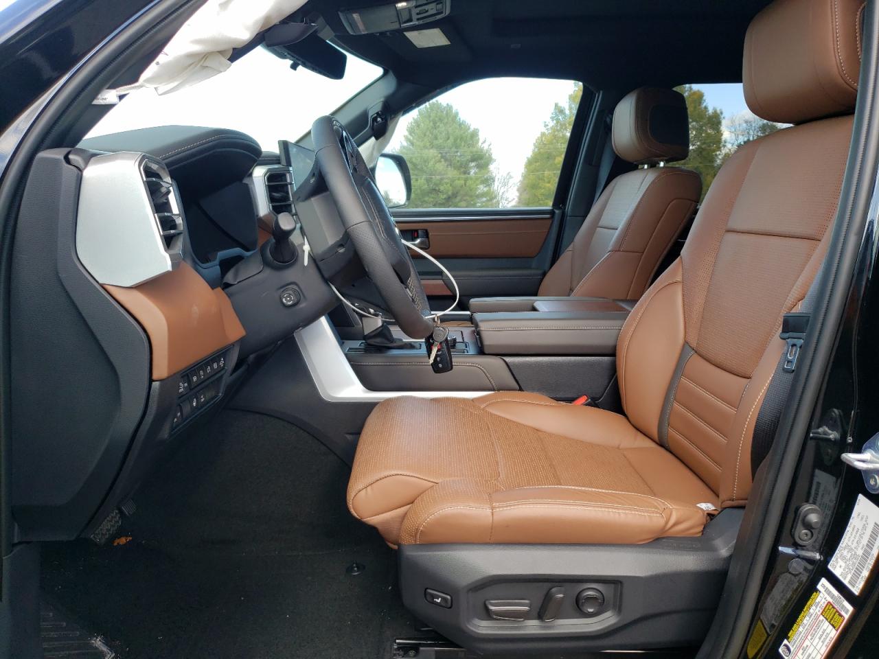 2024 TOYOTA TUNDRA CREWMAX PLATINUM VIN:5TFMA5DB5RX180152