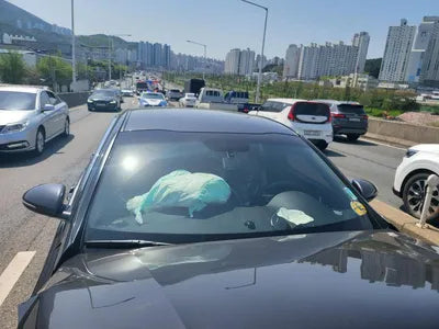 2017 Kia K5 KNAGX411BHA138711 VIN:KNAGX411BHA138711