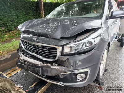 2017 Kia Carnival VIN: