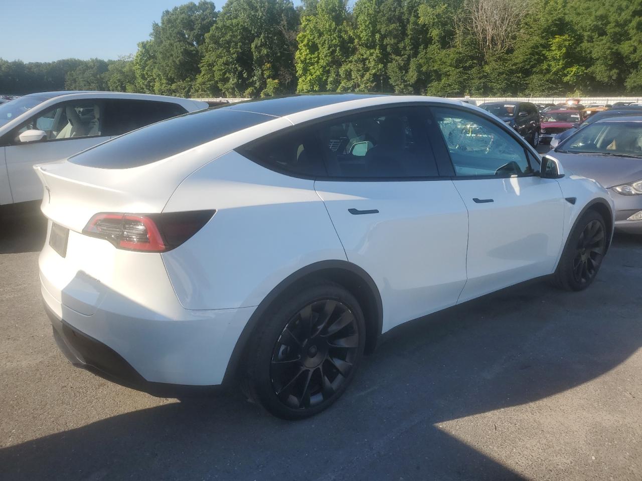 2023 TESLA MODEL Y  VIN:7SAYGAEEXPF664569