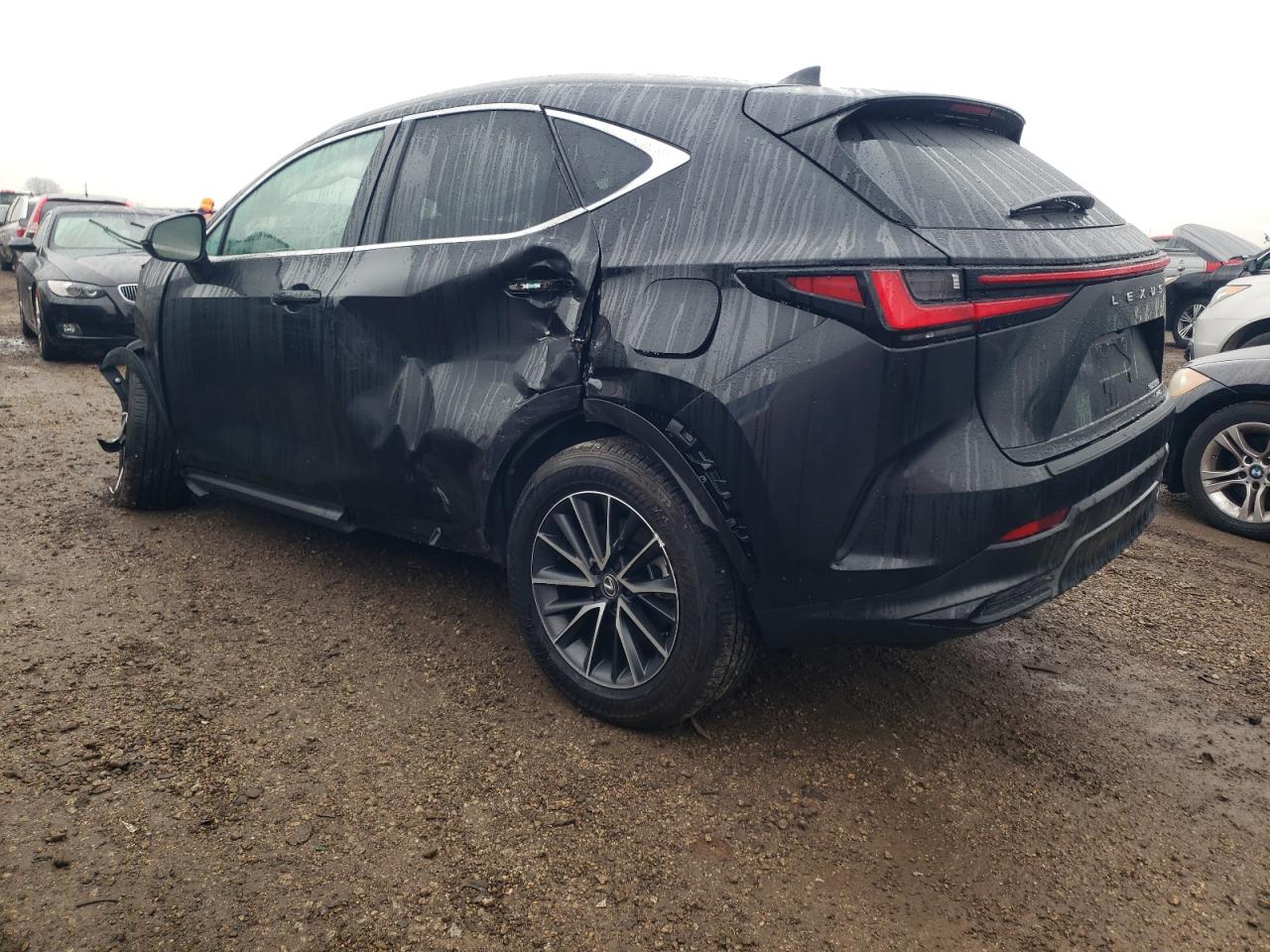 2024 LEXUS NX 350 BASE VIN:2T2AGCEZ9RC058874