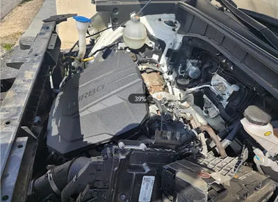 2021 Kia Sorento KNARH81BGMA036615 VIN:KNARH81BGMA036615