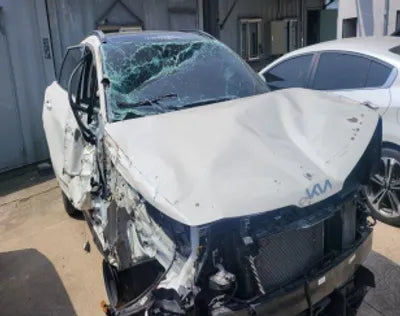 2022 Kia Sportage KNAPU81BGNK062442 VIN:KNAPU81BGNK062442