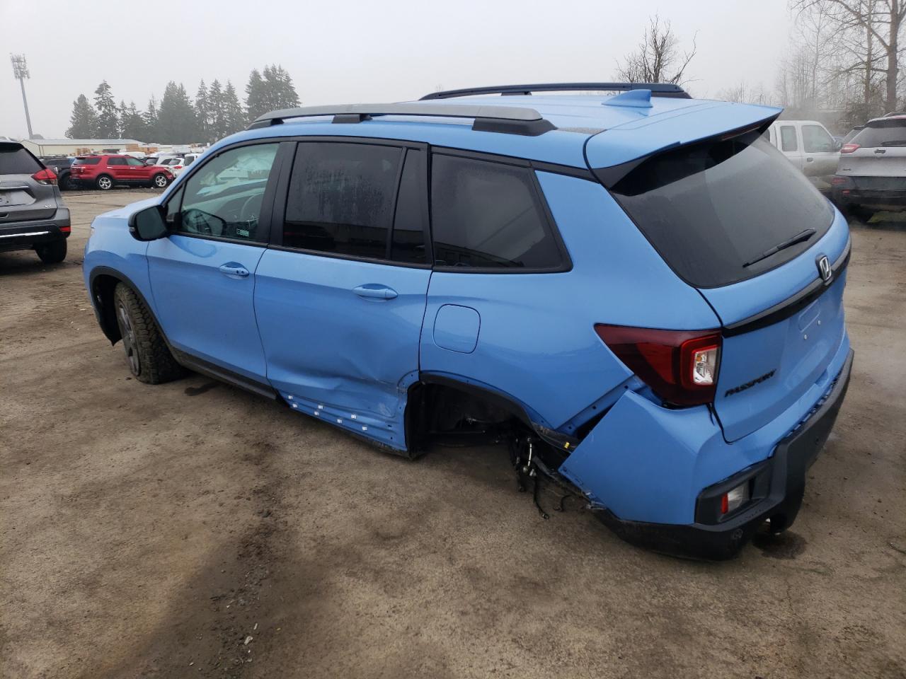 2024 HONDA PASSPORT TRAIL SPORT VIN:5FNYF8H65RB013169