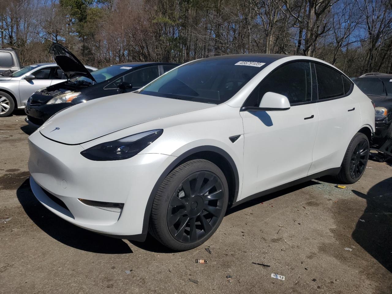 2024 TESLA MODEL Y  VIN:7SAYGDEE0RA268071