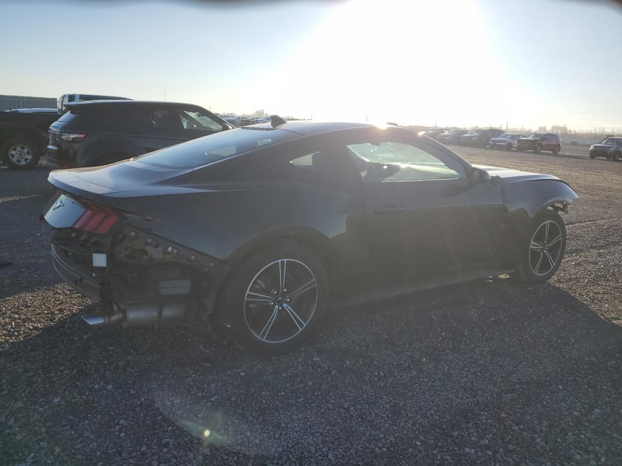 2024 FORD MUSTANG  VIN:1FA6P8THXR5129875