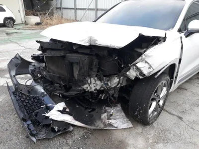 2019 Hyundai Santa FE KMHS581CDLU237680 VIN:KMHS581CDLU237680