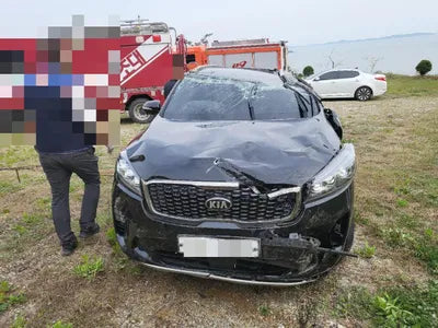 2018 Kia Sorento KNAPH81ABKA512384 VIN:KNAPH81ABKA512384