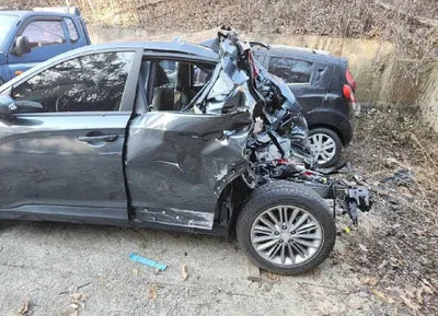 2020 Hyundai Kona KMHK4815GLU450978 VIN:KMHK4815GLU450978