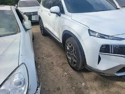 2021 Hyundai Santa FE KMHS381HGMU310312 VIN:KMHS381HGMU310312