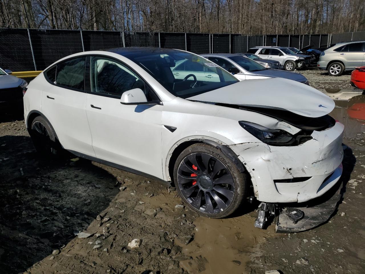 2022 TESLA MODEL Y  VIN:7SAYGDEF6NF379150